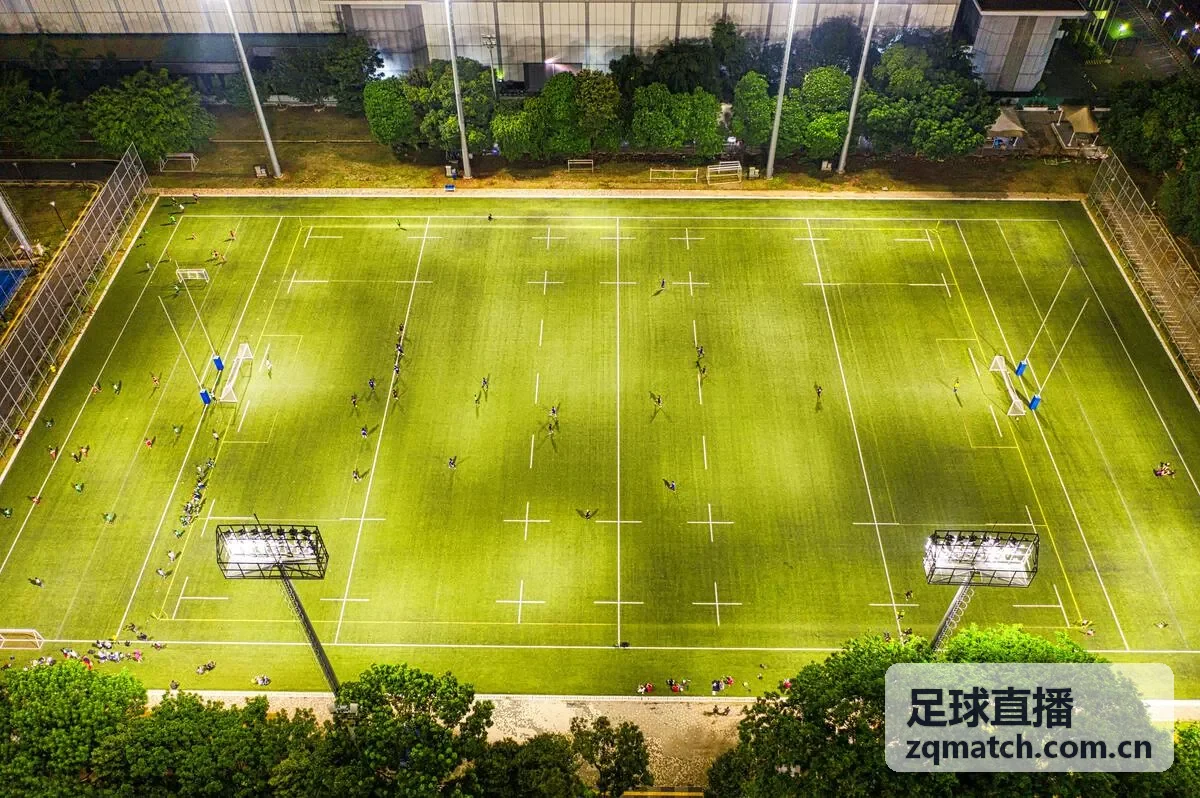 足球直播世界杯赛场万人欢呼盛况